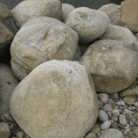 鹅卵石 驳岸景石施工方案 需有技术人员的施工经验